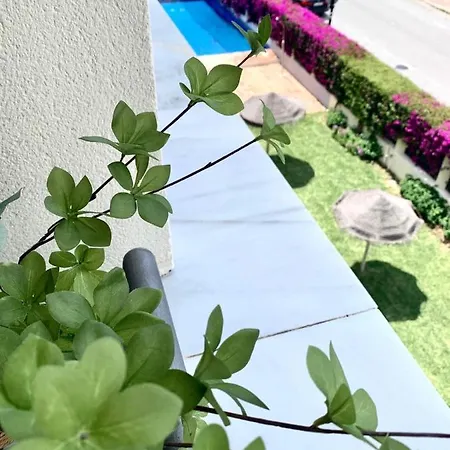 Las Petunias Del Mar - Eaw Homes